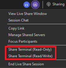 Screenshot that shows the Share Terminal options.