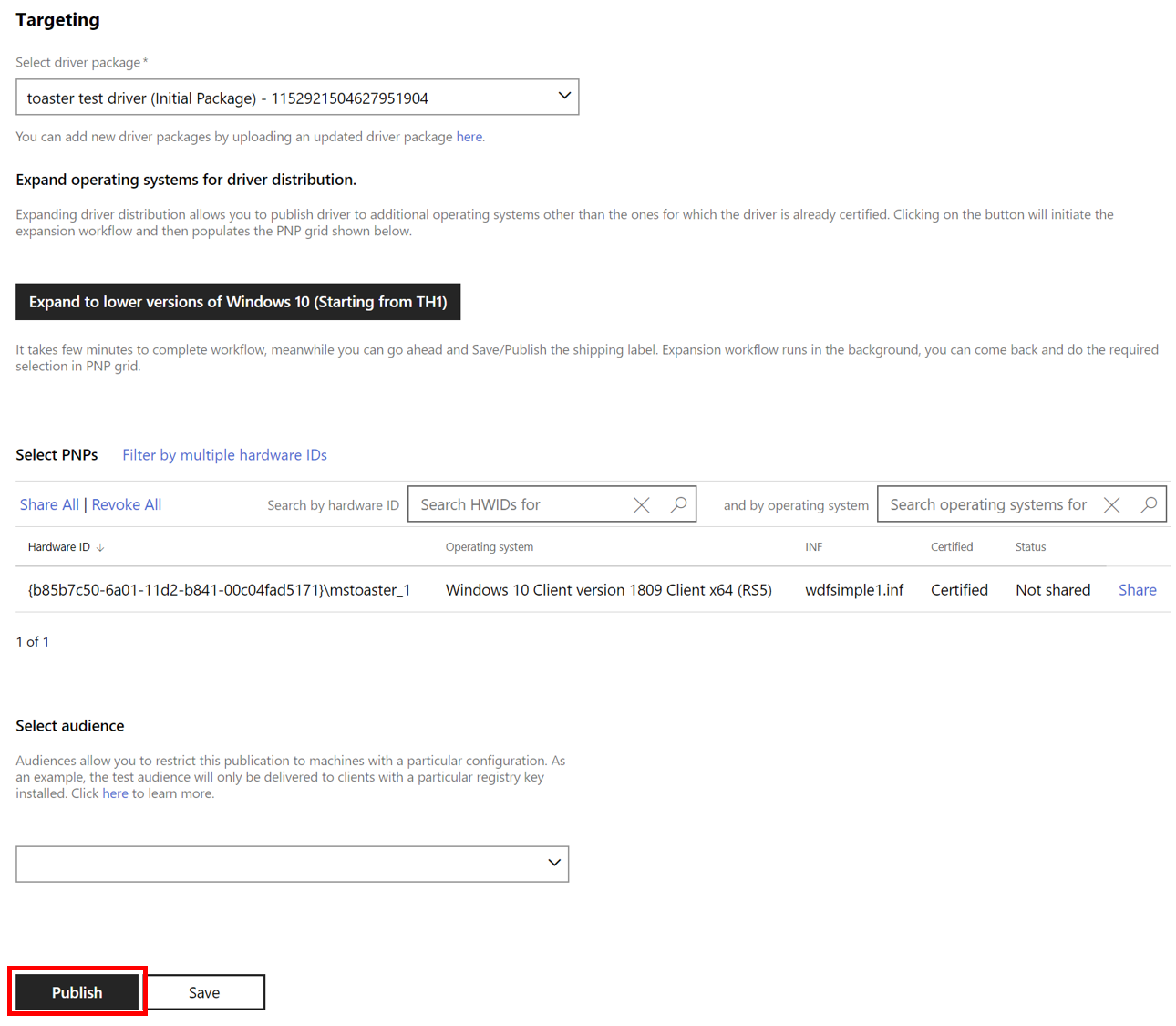 screenshot that shows publish targeting settings.