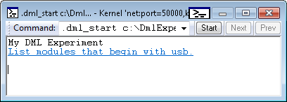 命令浏览器窗口中 DML 文件输出的屏幕截图。