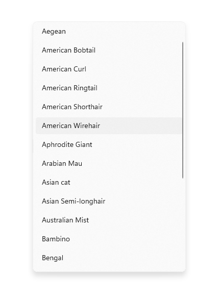 Example of a scroll bar in a drop-down list