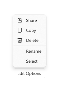 Example of a typical context menu