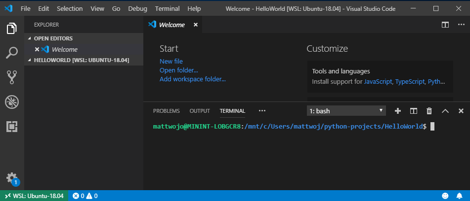 VS Code with terminal WSL