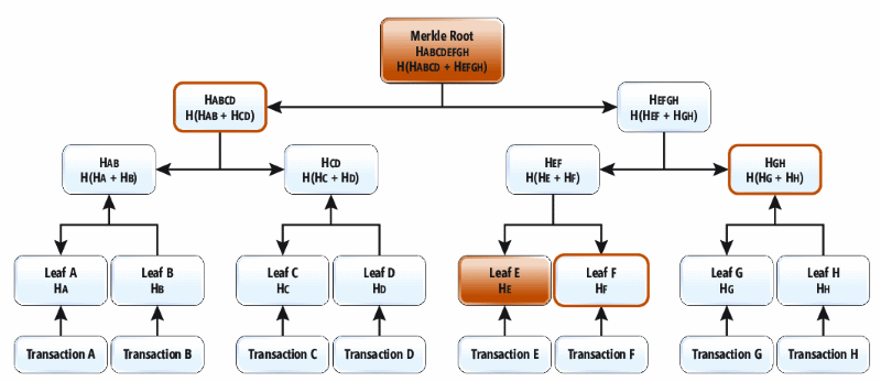 Merkle 樹狀結構是一種產生 Merkle 根雜湊; 的二進位雜湊樹狀目錄這個資料結構可以有效地加入分葉節點，並計算新 Merkle 根目錄，而不需要完整的重新計算
