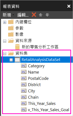 Screenshot of the fields listed under the dataset in the Report Data pane.