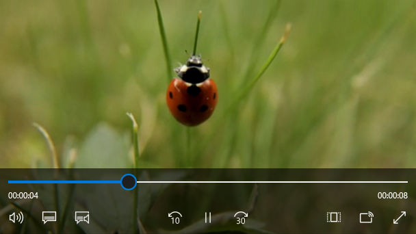 A screenshot of a media player element with transport controls playing a video of a ladybug
